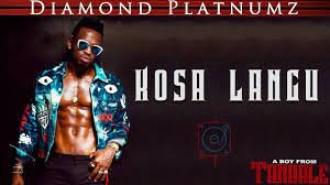Kosa Langu Mp3 Download By Diamond Platmumz