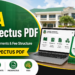 SUA Prospectus 2026/2027 PDF: Courses, Requirements & Fee Structure