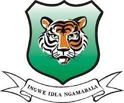 Ingwe College application form