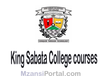 King Sabata college courses