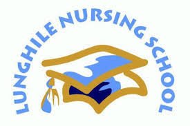 Lunghile Nursing School Intake Application