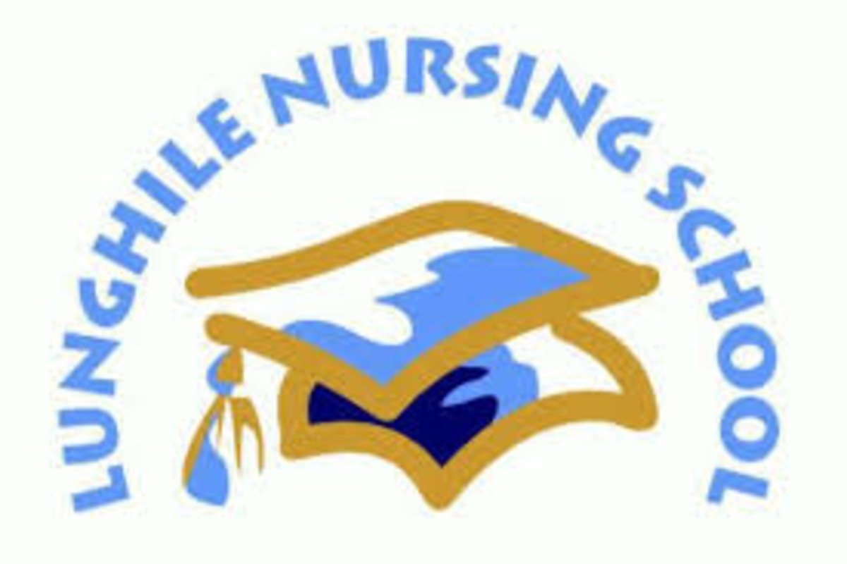 Lunghile Nursing School Application Forms pdf