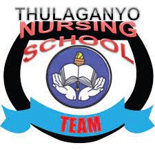 Thulaganyo Nursing School Application Forms pdf